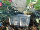 image of grave number 361226